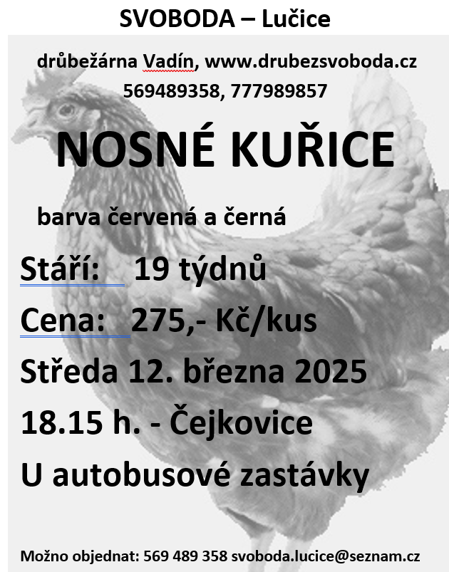 Snímek obrazovky 2025-02-24 181355.png